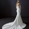 Achteraanzicht van de Angelis trouwjurk van Atelier Pronovias, met een elegante lange sleep.